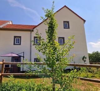 Ferienhaus "Entenhaus" im Gutshaus De La Fontaine - Feilsdorf - 9