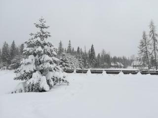 Apartament Nad Stawem - 5