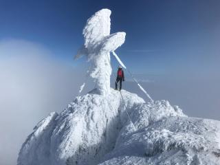 Neues Luxus APARTMENT DACHSTEIN - Ramsau am Dachstein - direkt an der Loipe! - Ramsau am Dachstein - 7