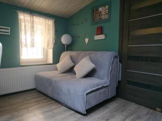 Центр Оперний теат однокімнатні з кухня-студія кондиціонер - Lviv - 9