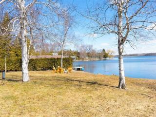Luxury private lake house - Kawartha Lakes - 1