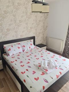 Stefania Apartment Sibiu - Şelimbăr - 1