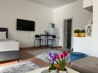 Olive apartment - Podgorica - 2