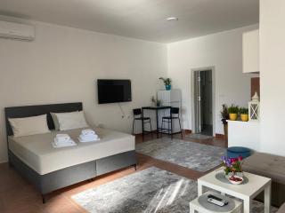 Olive apartment - Podgorica - 1