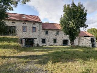 Relais des Gorges de la Truyère - Anglards-de-Saint-Flour - 3