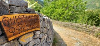 Guesthouse Prebibaj - 8