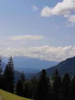 BergNest Großwalsertal - 1