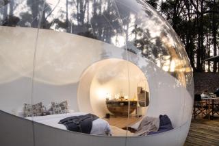 Skyview Bubbletent - Eganstown - 3