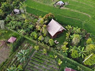 Cute Eco Cottage Near 7 Waterfalls - Singaraja - 5