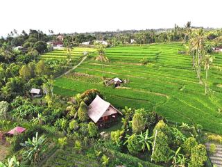 Cute Eco Cottage Near 7 Waterfalls - Singaraja - 8