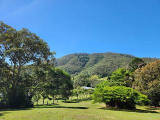 The Tranquil Retreat - Canungra - 9