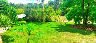 Dolce Vita Kreyol - 3