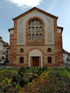 GITE SPACIEUX AU COEUR DE L'ALSACE 3*** - Sélestat - 1