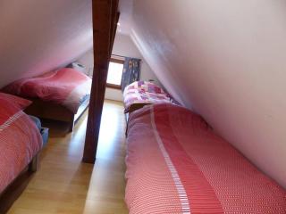 GITE SPACIEUX AU COEUR DE L'ALSACE 3*** - Sélestat - 0