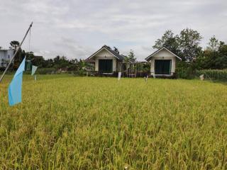 Vieng pua homestays - Nan - 4