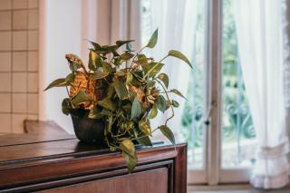 Appartamento Library - Villa Candela - Stresa - 6