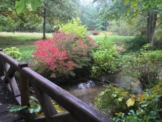Charming country house in the forest, with heated pool - Cerdon - 1