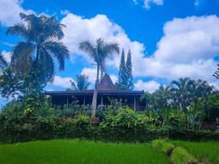 Ayu Dira Heritage House - Ubud - 8