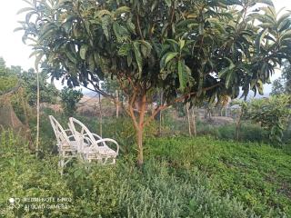 The Endless Enigma - 7