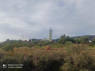 The Endless Enigma - 1