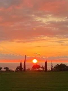 Sunset Boutique Guest House - Paphos - 0