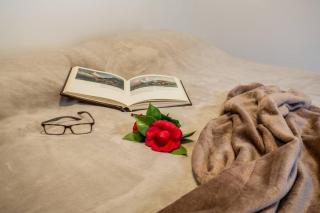 La Rosa delle Alpi Luxury Apartment - Chamois - 2