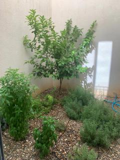 Design Apartment near City Center, Cool popular neighborhood - Siviglia - 1