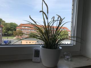 Ferienwohnung Hallix - Wilhelmshaven - 5