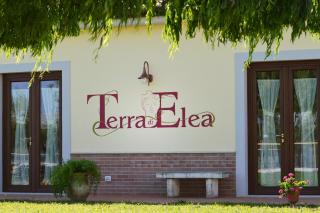 Agriturismo Terra Di Elea azienda agricola di Raimondo MIchela - Ascea - 5