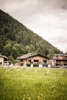 Wagnerhof Apartments - 1