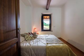 Ginepro Poderone - Grosseto - 5