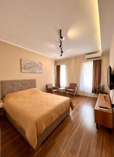 Dani Lux Belgrade Center Studio Apartment - 0