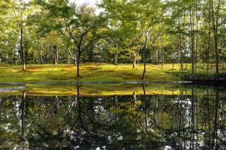 Garrya Nijo Castle Kyoto - 5