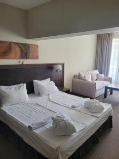 Sana Spa Hotel - Hisarya - 3