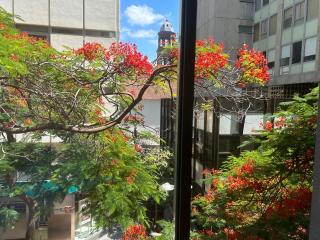 Niko Rooms - Santa Cruz de Tenerife - 3
