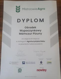 Ośrodek Wypoczynkowy Mamczur Pizuny, Roztocze, PROMOCJA ! Domki z kominkami w sercu lasu, sauna, jacuzzi w cenie wynajmu - 4