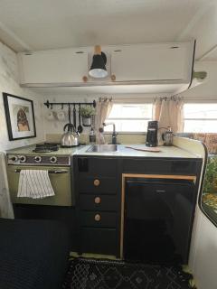 Boheme Retreats (Vintage Campers) - Livingston Manor - 1