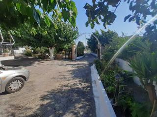Glyfada's Family Apartment - Glyfada Fokidas - 5