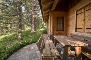 Alpin-Hütten auf der Turracherhöhe Haus Murmeltier by S4Y - Turracher Höhe - 7