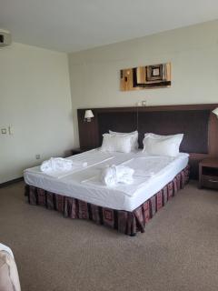 Sana Spa Hotel - Hisarya - 7