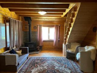 Family Mountain Cottage - Cîrţişoara - 1