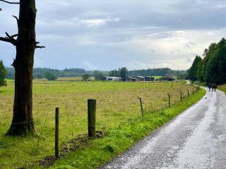 Quiétude à la ferme - Houdremont - 9
