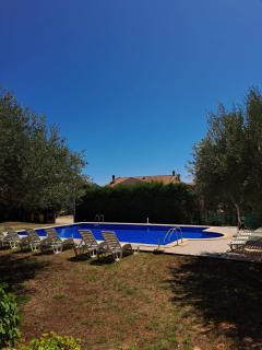 Apartment Dragica - 1