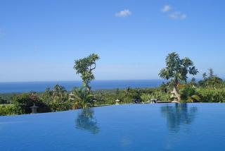 Puri Mangga Sea View Resort and Spa - Lovina - 7