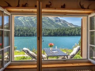 Apartment Chesa Anemona al Lej by Interhome - St. Moritz - 3