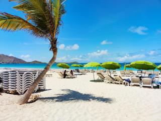 Villa Luxe avec Piscine Privée, Proche Plage à Saint-Martin - FR-1-734-1 - 9