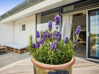 Apartment Kaapo - 1km from the sea by Interhome - 8