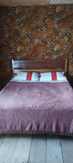 Guesthouse Omalo - Omalo - 7