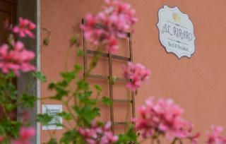 Al Riparo Affittacamere - Finale Ligure - 0