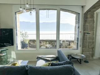 Panoramic Room in the vineyard,stunning views of lake and Alps - Puidoux - 4